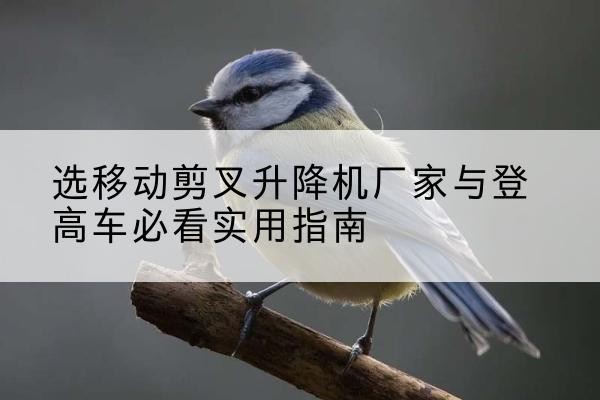和布克赛尔电动升降机厂家-选移动剪叉升降机厂家与登高车必看实用指南