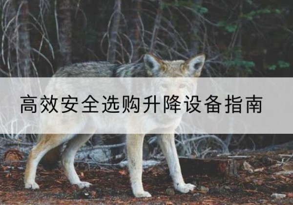 和布克赛尔升降货梯厂家推荐-*安全选购升降设备指南