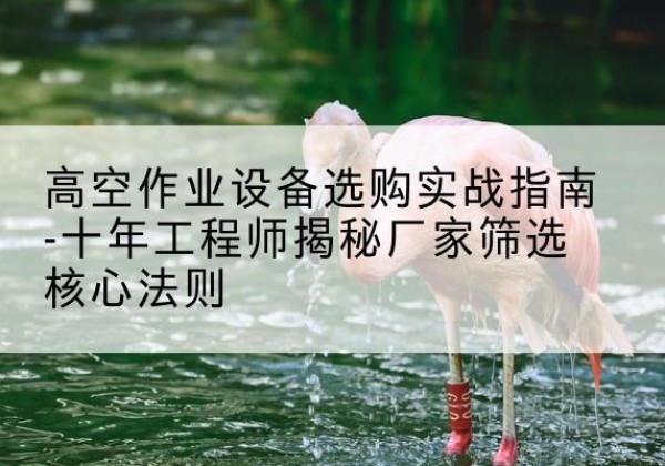 和布克赛尔剪叉式升降机厂家-高空作业设备选购实战指南-十年工程师揭秘厂家筛选核心法则